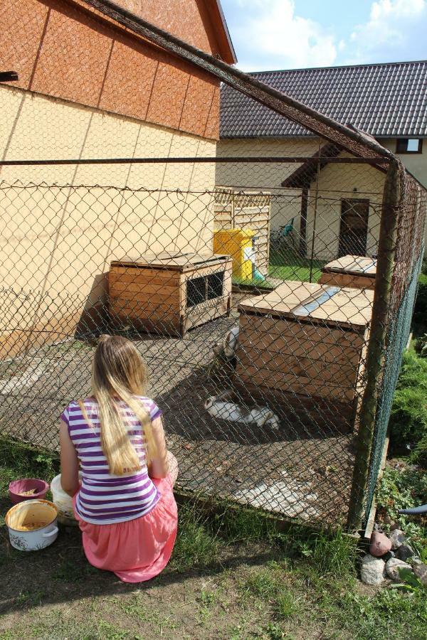 Вілла Wypoczynek Kocia Gora Dziemiany Екстер'єр фото
